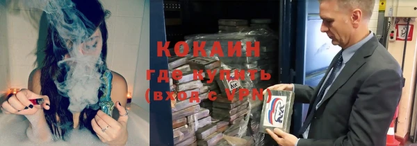 прущие грибы Володарск