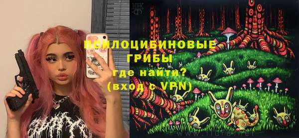 прущие грибы Володарск